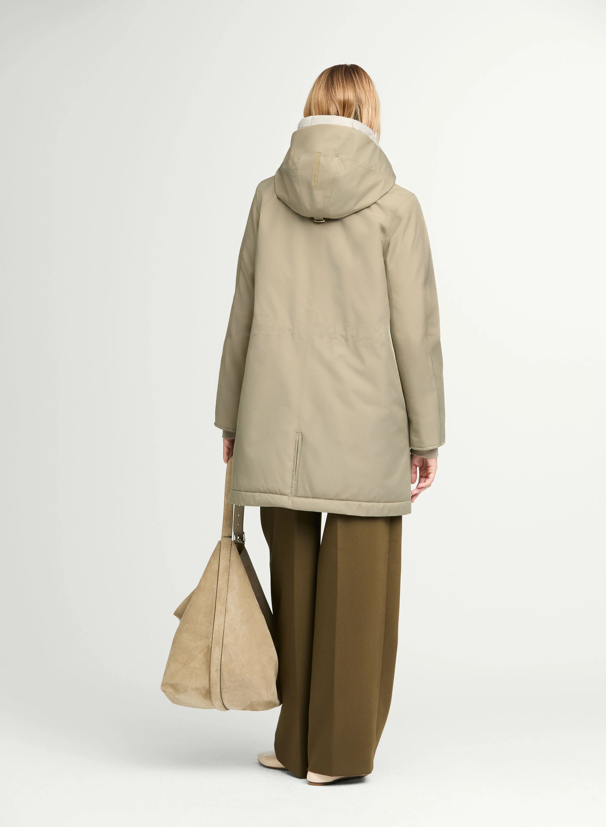 IVY - Image 3